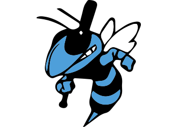 Central Iowa Stingers - 13U